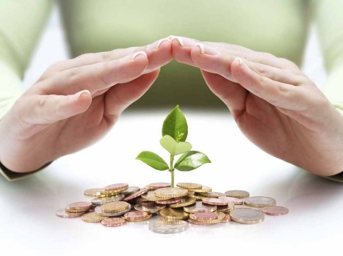 قواعد وضوابط الاستثمار في المنظمات غير الربحية